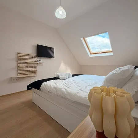 Two-bedroom In Center With Private Garage Apartmán Plovdiv
